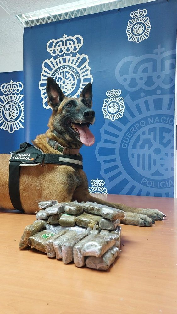 Intervienen 2.610 gramos de hachís ocultos en un container