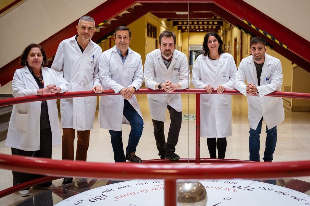Diseñan nanopartículas de ácido maslínico para el tratamiento de cáncer de mama y páncreas
