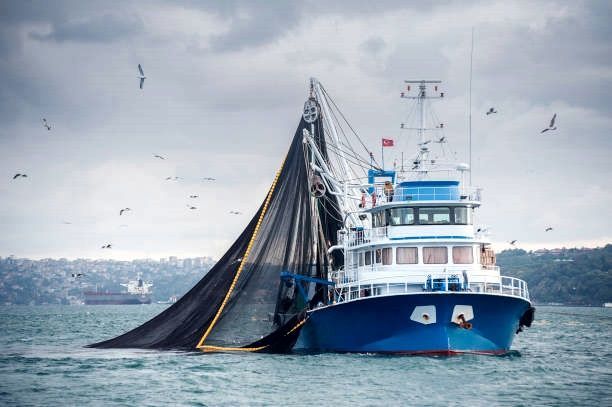 El puerto de Ceuta podrá realizar operaciones de desembarque y trasbordo de productores pesqueros