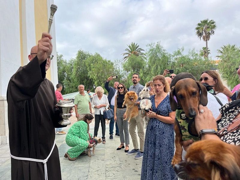 Bendición de animales en la Catedral de Ceuta para celebrar la Festividad de San Daniel
