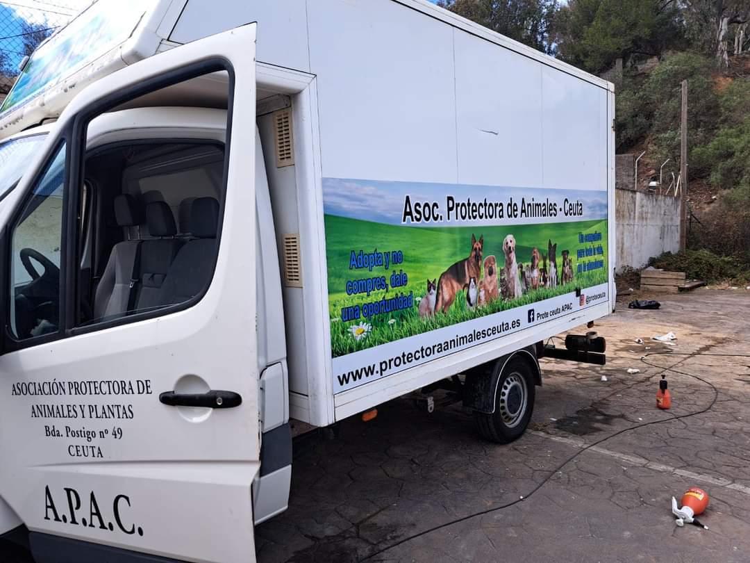 La Protectora de Animales pide que se desbloqueen las adopciones de perros por parte de Francia