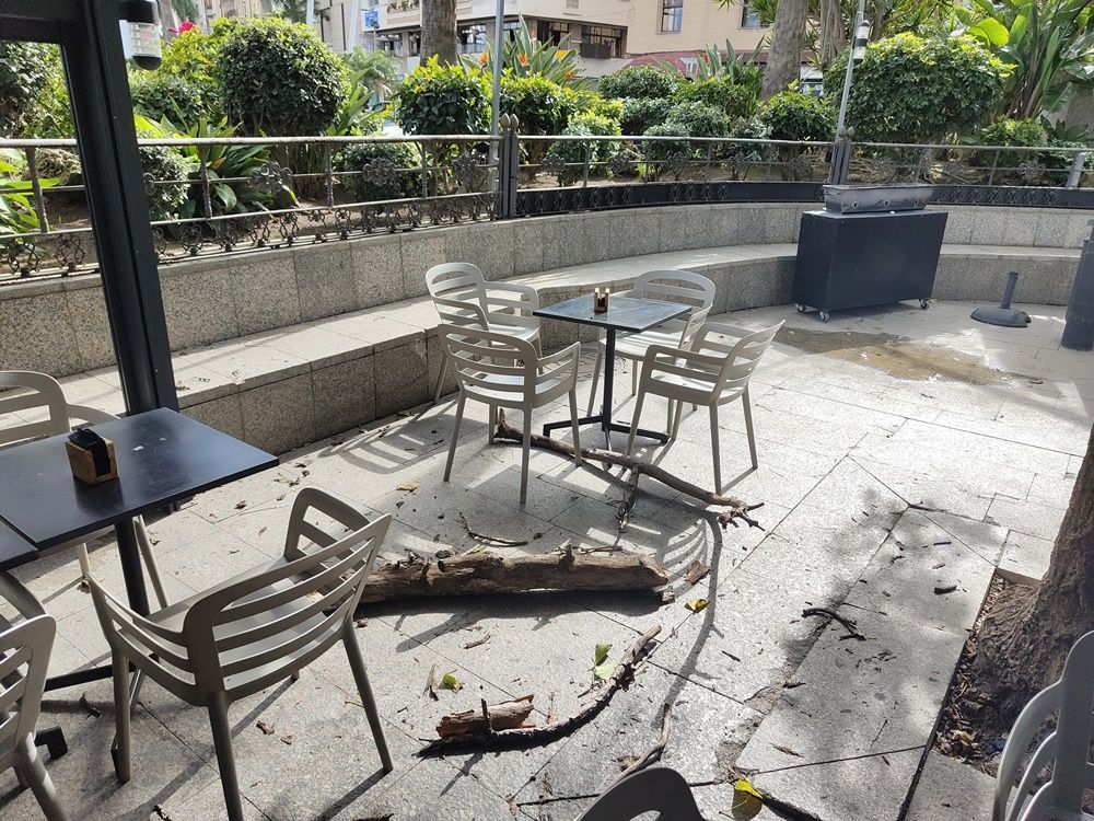 Un tronco cae sobre una mesa situada en la terraza de la Cafetería del Puente
