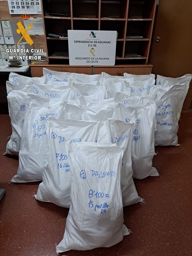Intervenidos más de 200 kilos de hachís en dos intervenciones en el preembarque del Puerto