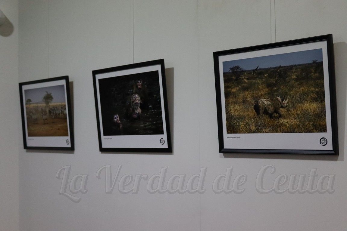 Miradas Premios Nacionales 23 01