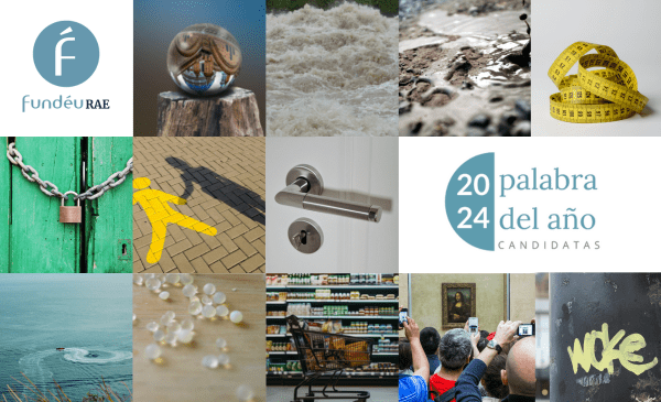 Doce candidatas seleccionadas para "Palabra del año 2024"
