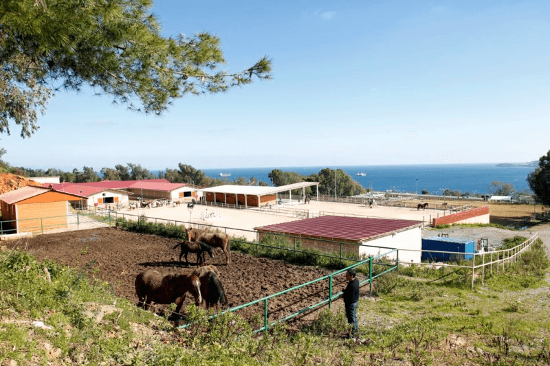 La consejería de Fomento inicia un proyecto de rehabilitación en el aula hípica de Ceuta