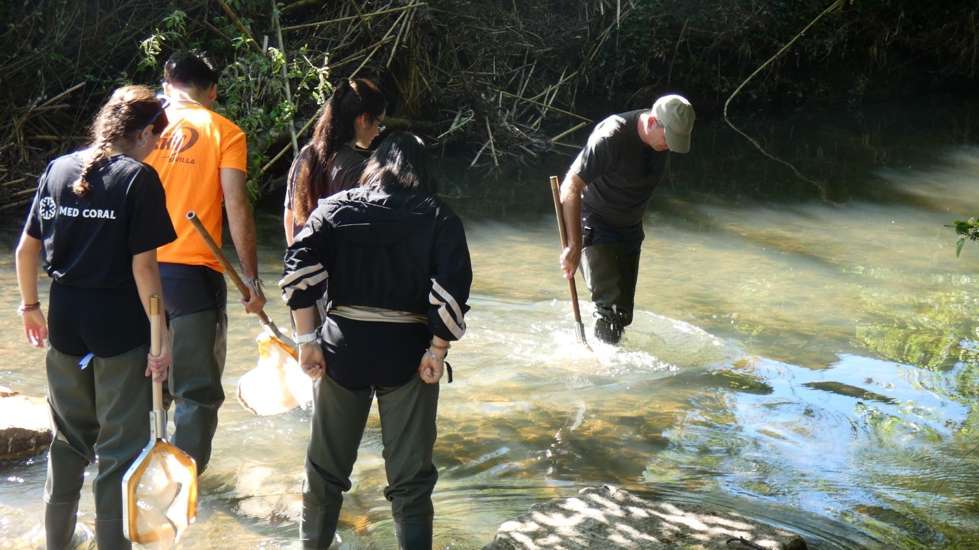 Practicas Biologia Avanzada 1