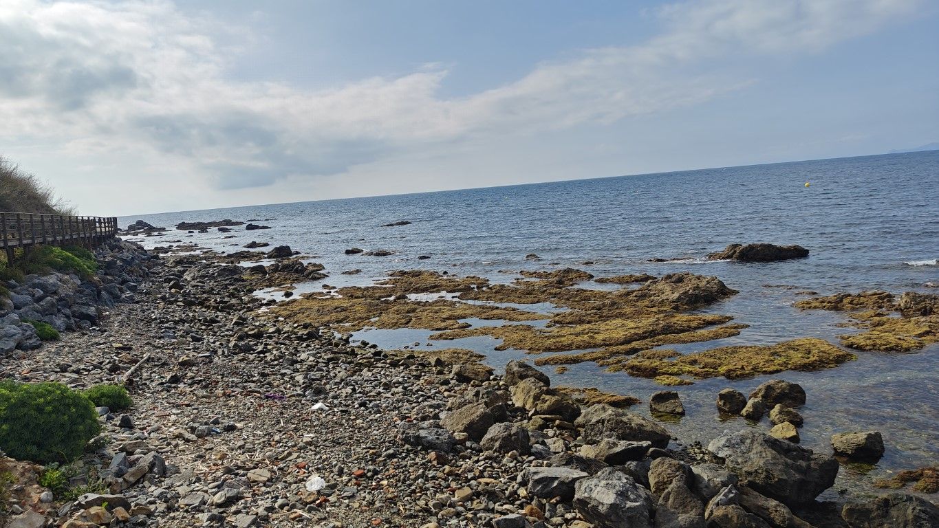 Hallan un delfín muerto en la playa de Fuente Caballos