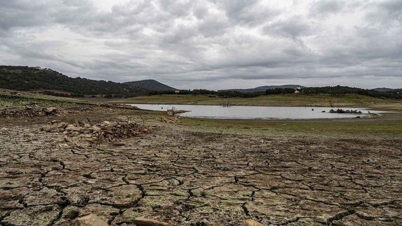 Día Mundial del Agua: la escasez de lluvias y el riesgo de desertificación, el desafío para España