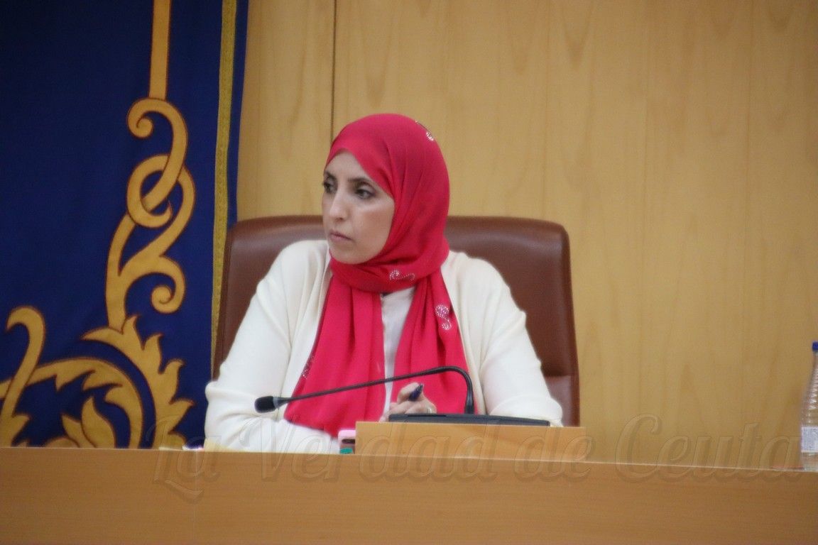 El MDyC lleva al Pleno la lengua de signos para hacer más inclusiva la administración local