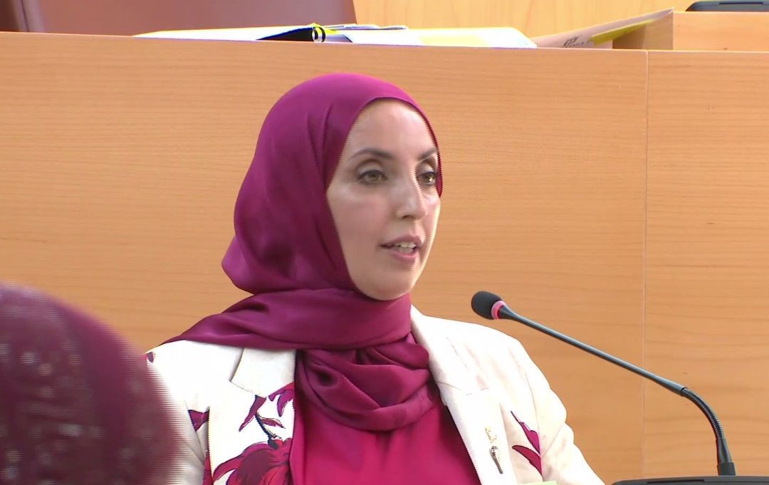 Hamed compara el presupuesto de la Ciudad con el desenlace de 'Los Serrano': "Un sueño desconectado de la realidad"