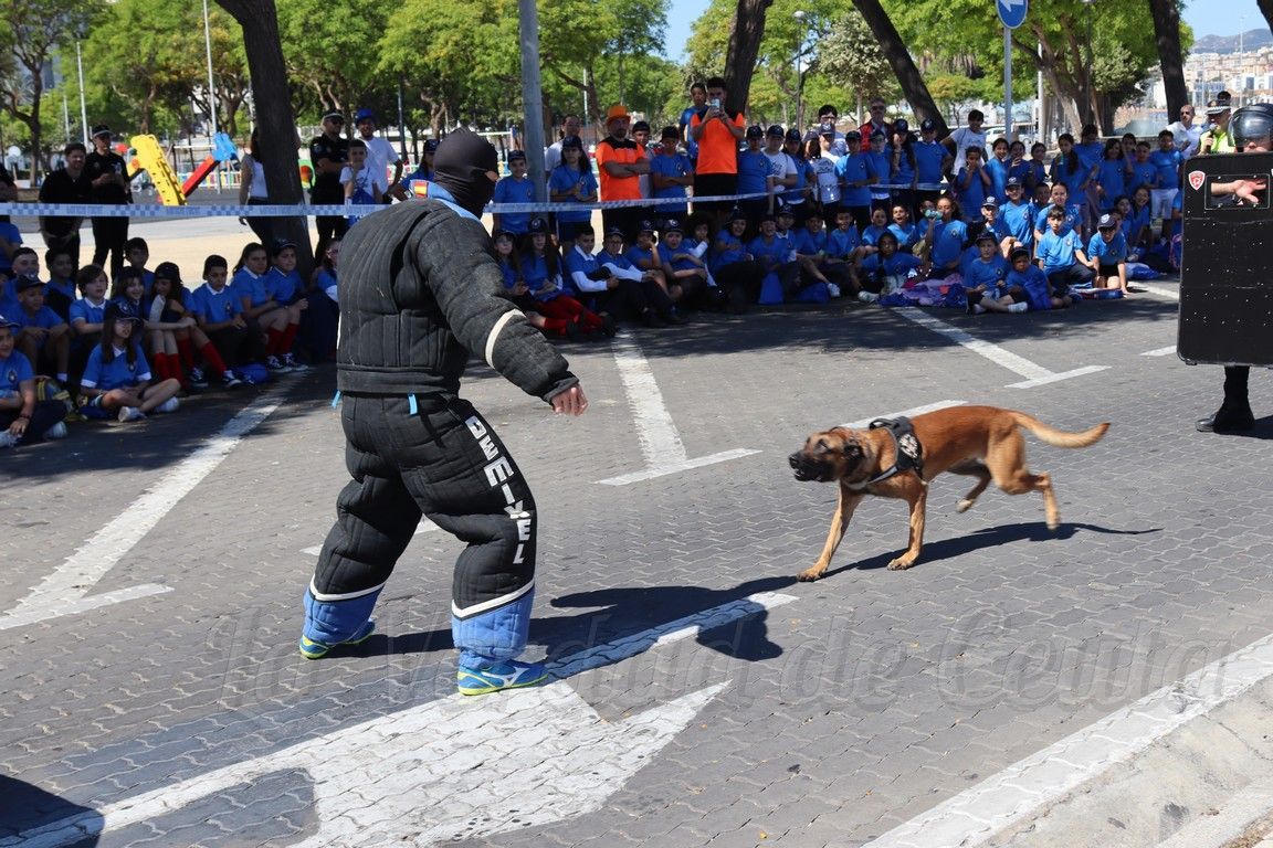 Exhibion policia local 10