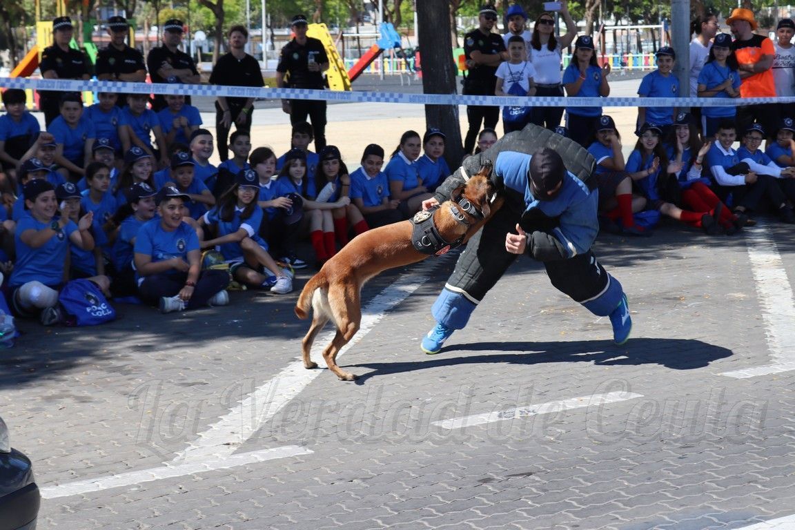 Exhibion policia local 11