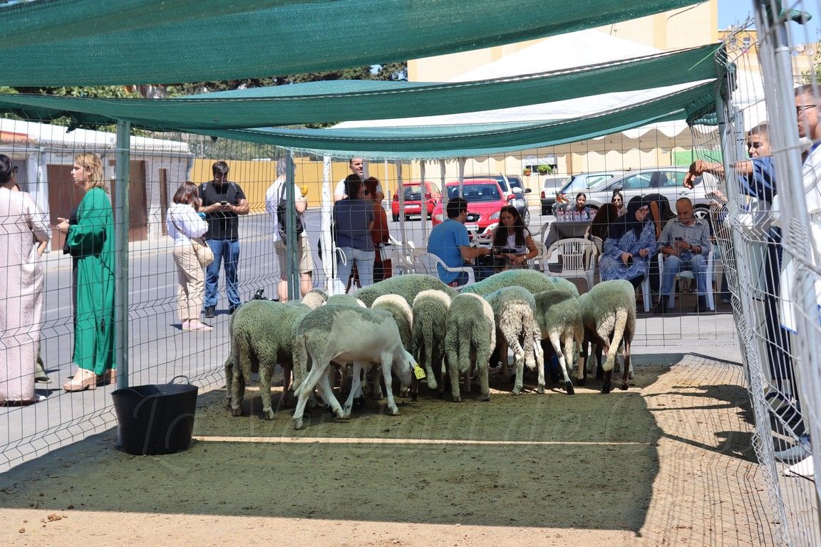 Sanidad activa el dispositivo especial por la Pascua del Sacrificio  