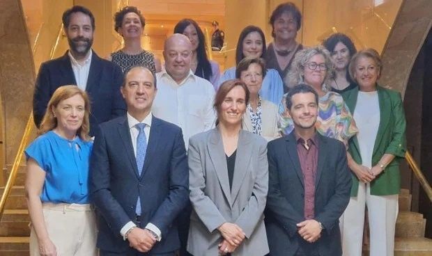 Ceuta defiende en la Comisión de Salud Pública el refuerzo de recursos para la vigilancia sanitaria