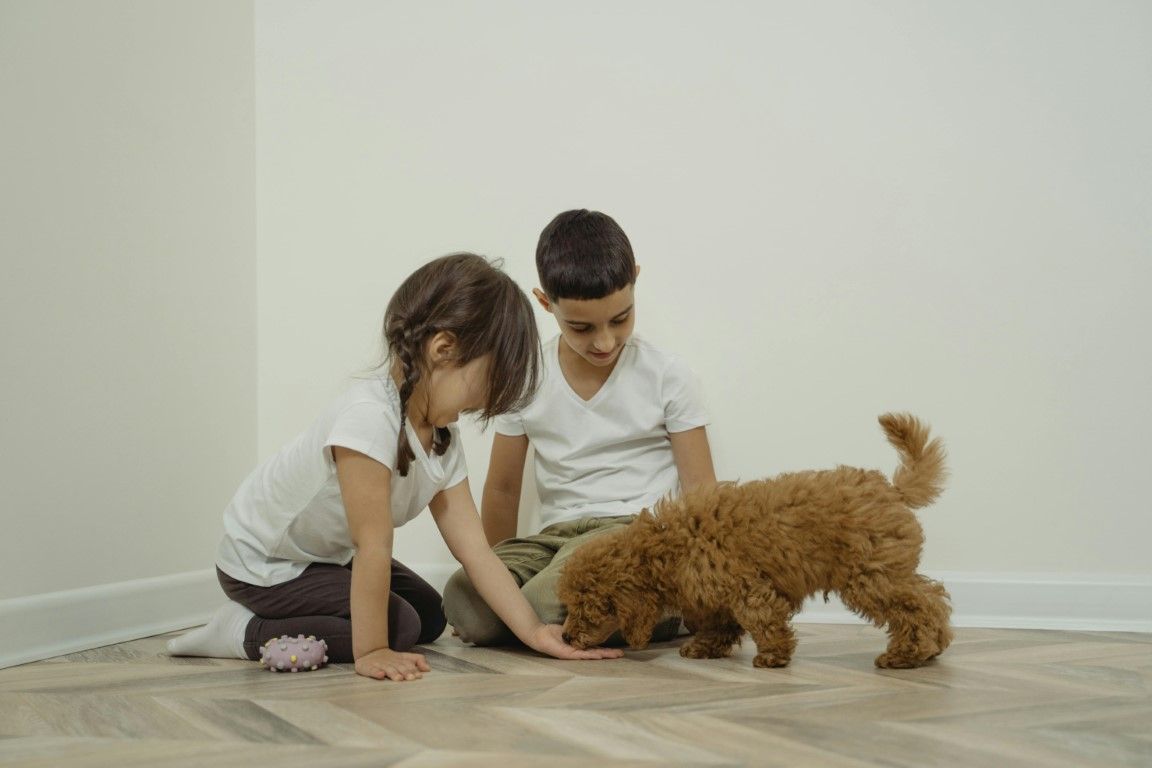 Ventajas de crecer con un animal en la familia