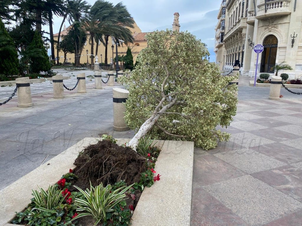 Sólo el Passió per Formentera navega en la línea con Algeciras