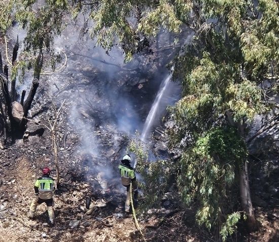 Incendio forestal en La Colina: vecinos denuncian pasividad de las autoridades
