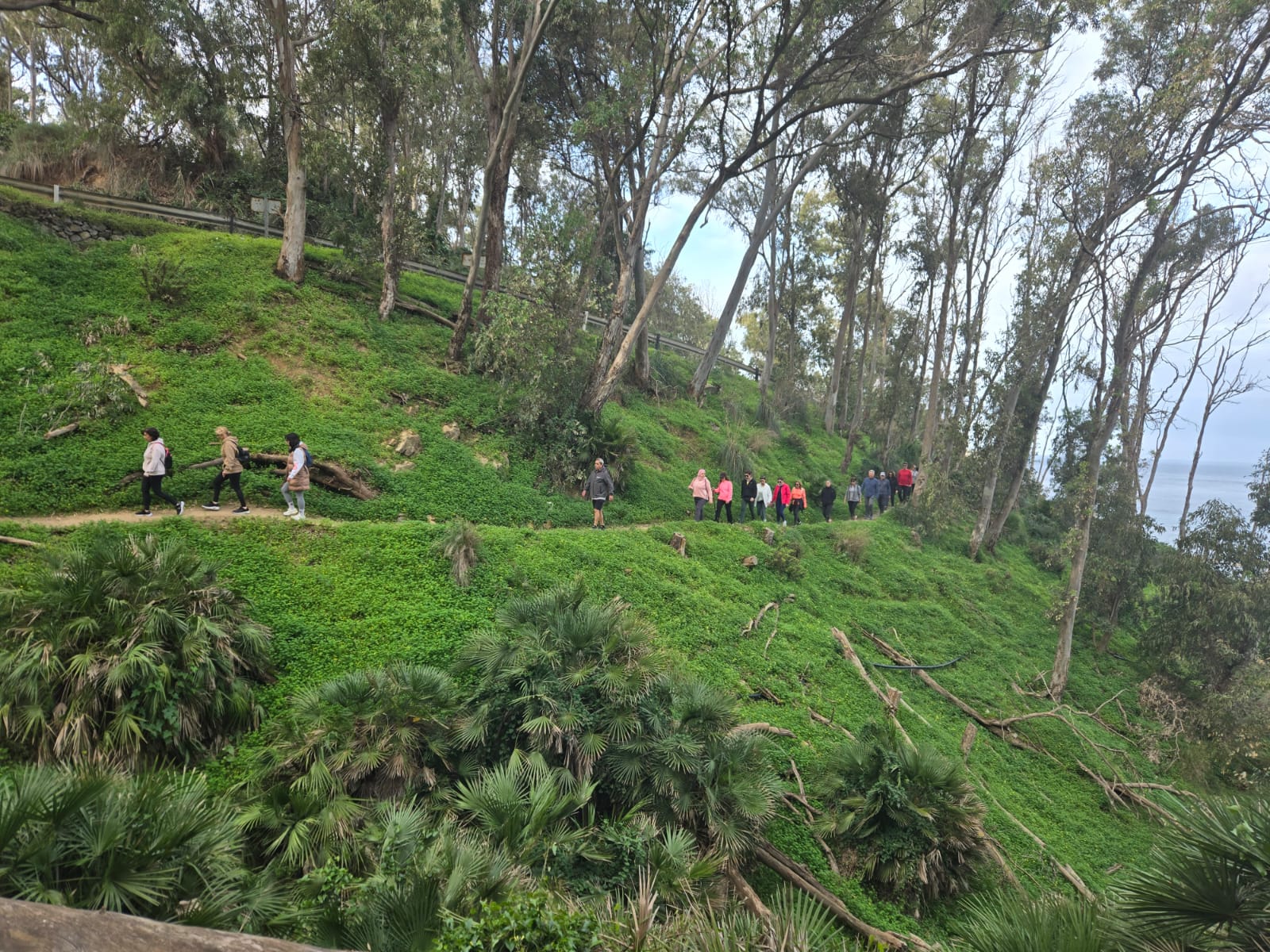 Centro Global2 organizó este domingo una novedosa actividad denominada "Caminata consciente"