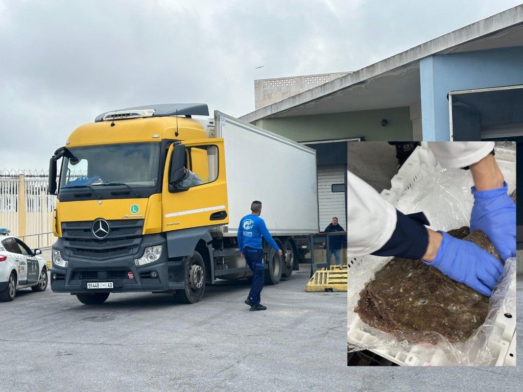 Nuestra ciudad realiza la primera importación de pescado desde Marruecos