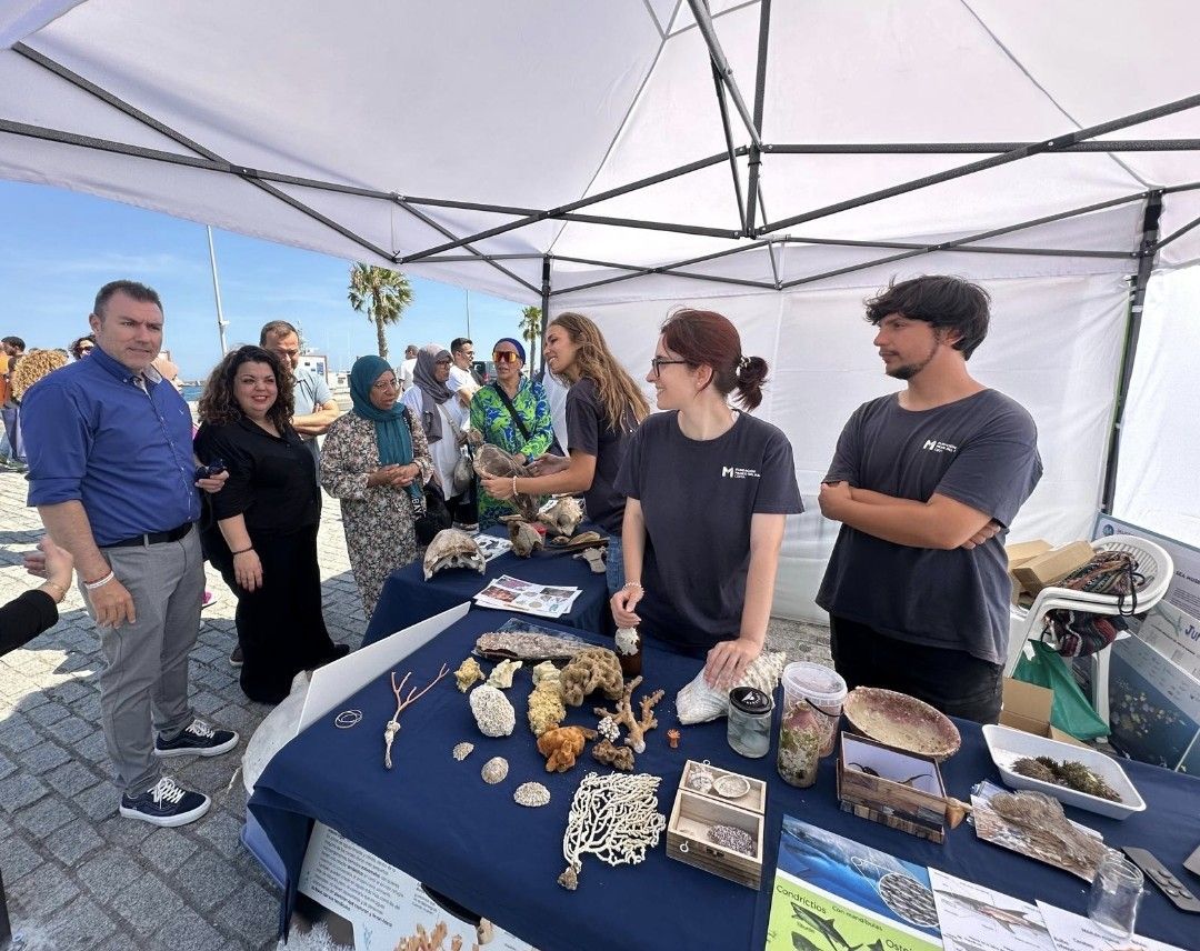 La delegada del Gobierno visita los talleres instalados en el muelle de España por el Día Mundial del Medio Ambiente