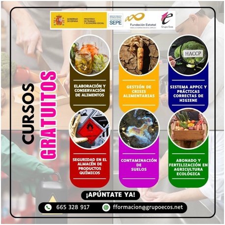 Grupo Ecos lanza múltiples cursos gratuitos para trabajadores, autónomos y desempleados