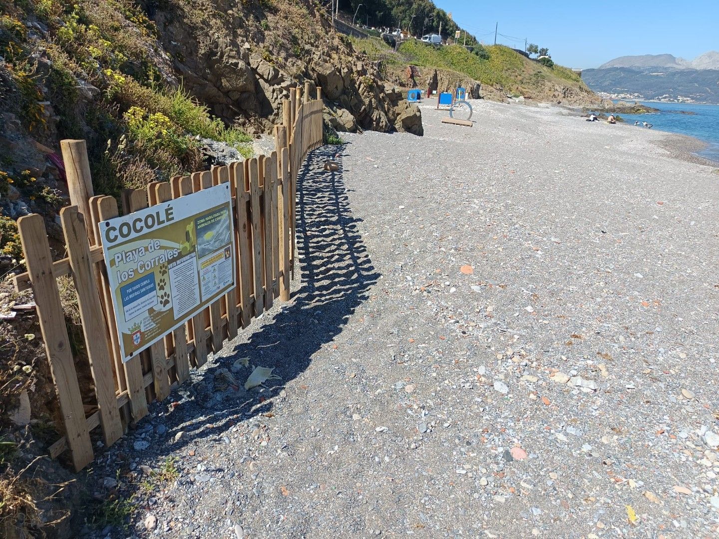 Playa Corrales perros.5