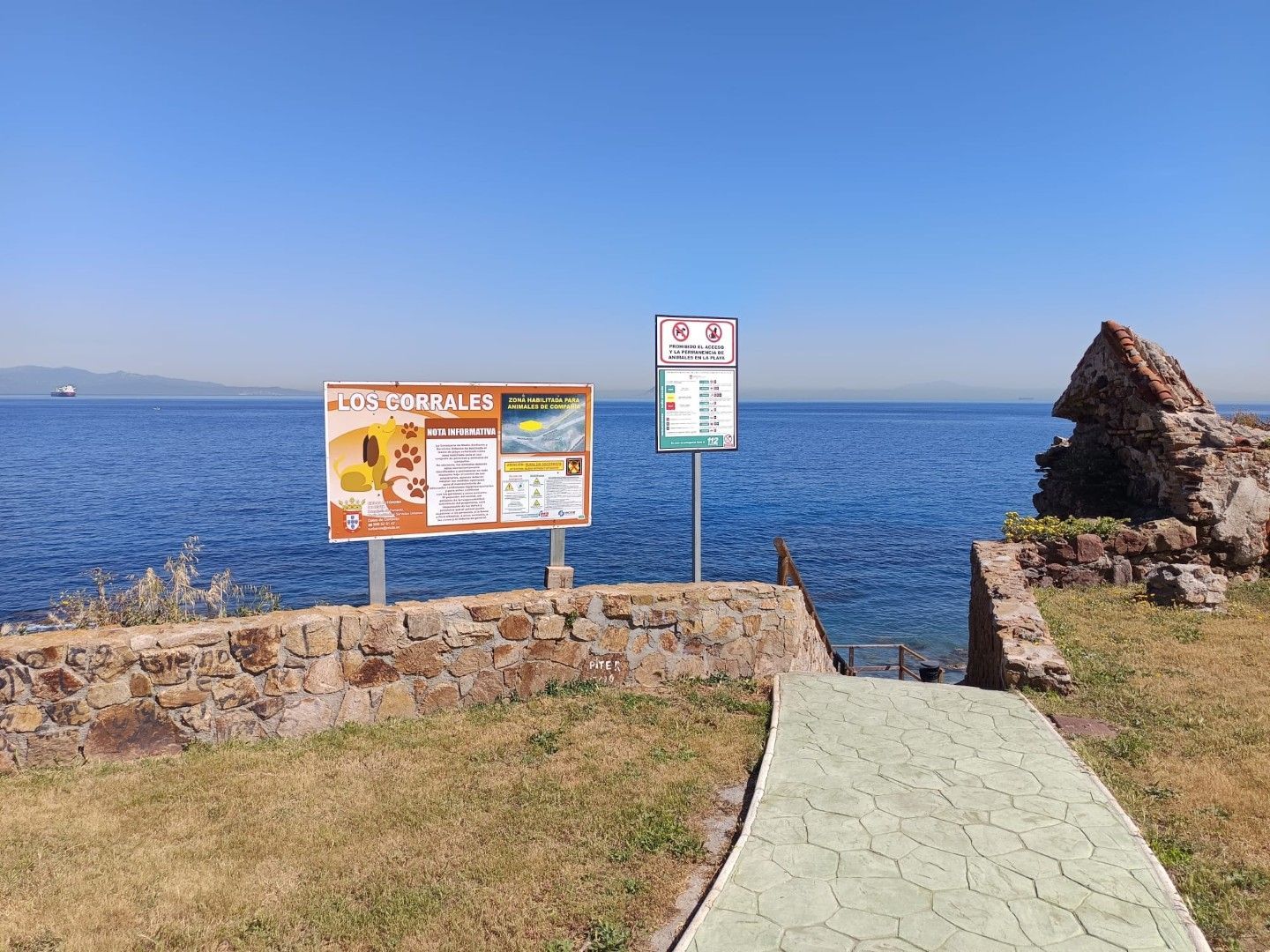 Playa Corrales perros.7