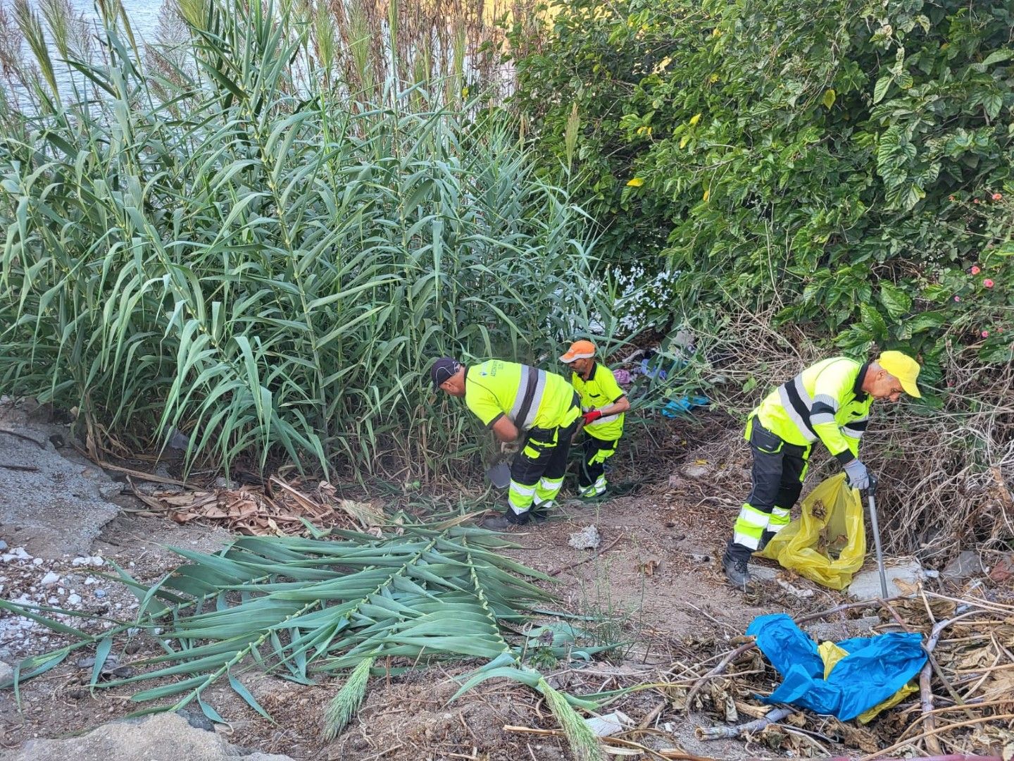 La Ciudad realiza nuevas actuaciones en distintas zonas del Sarchal
