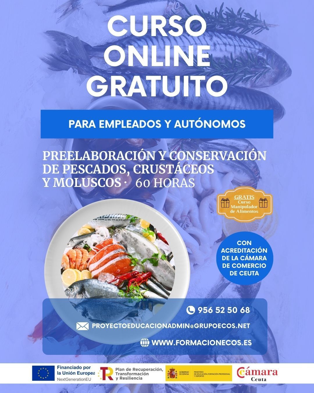 Grupo Ecos lanza nuevos cursos gratuitos de Hostelería y Cocina en modalidad online y gratuitos