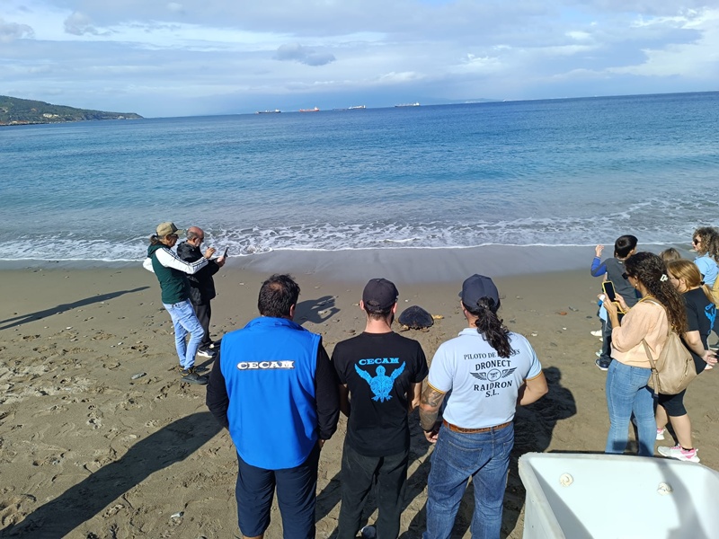 CECAM incorpora drones para reforzar la protección de tortugas y cetáceos