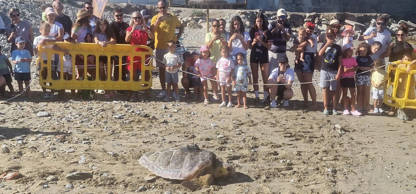 CECAM suelta tortugas 1409 03