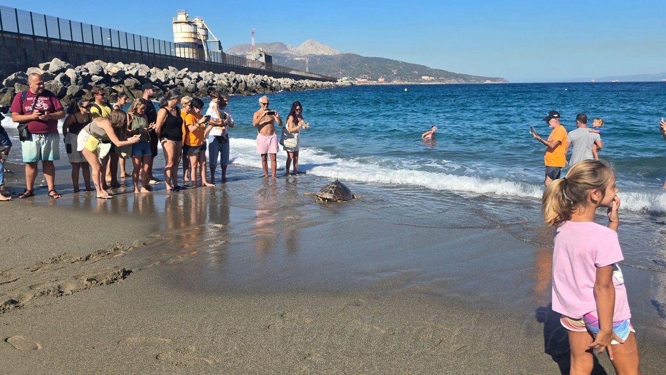 CECAM suelta tortugas 1409 04