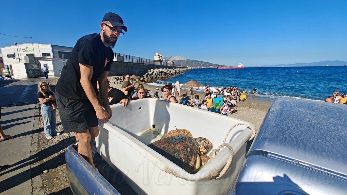 CECAM suelta tortugas 1409 08