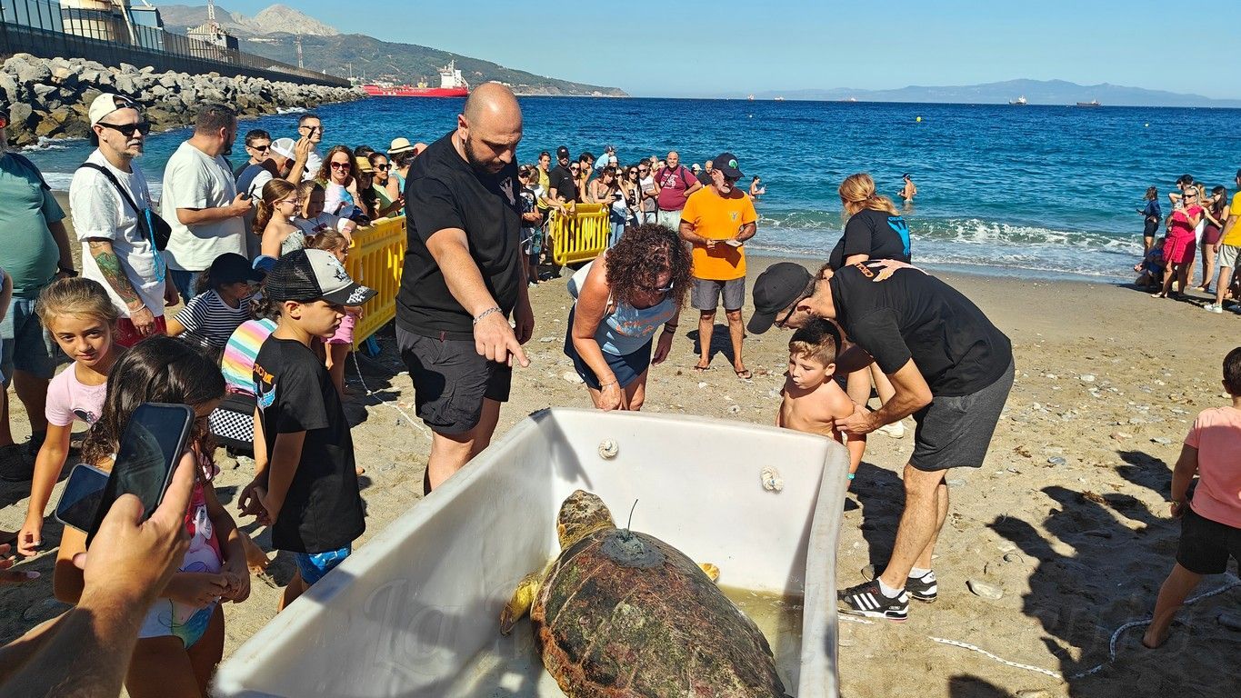 CECAM suelta tortugas 1409 10