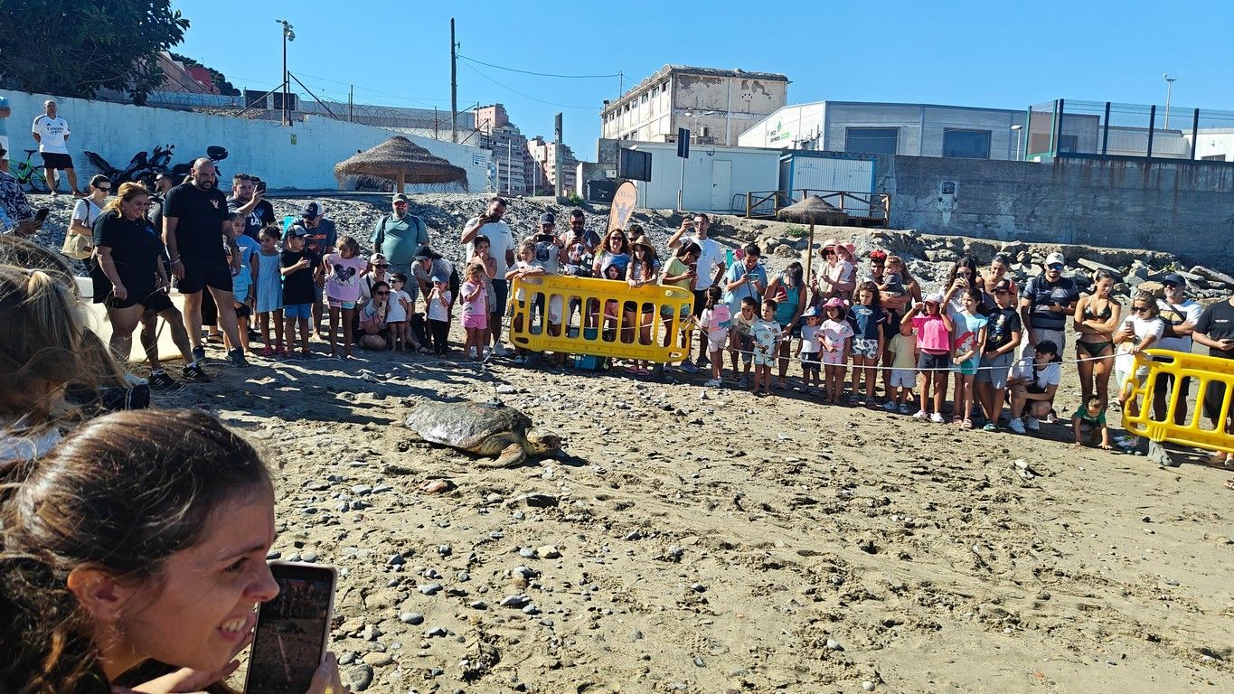 CECAM suelta tortugas 1409 11