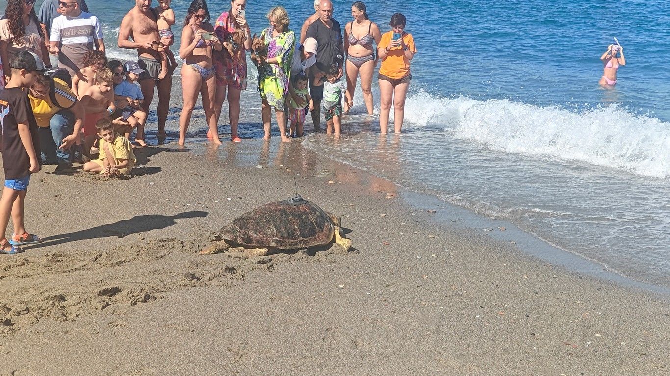 CECAM suelta tortugas 1409 13