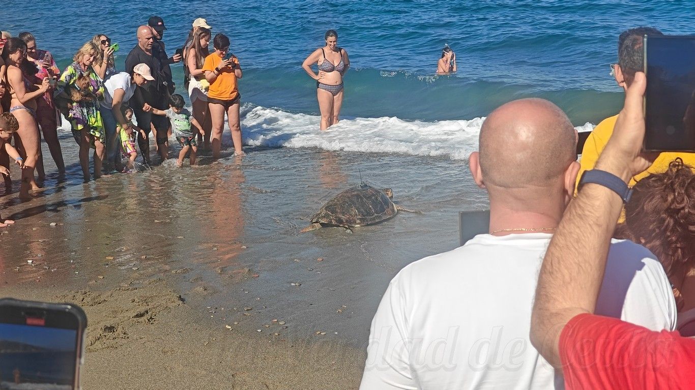CECAM suelta tortugas 1409 14
