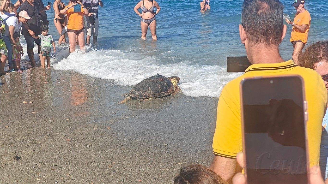 CECAM suelta tortugas 1409 15