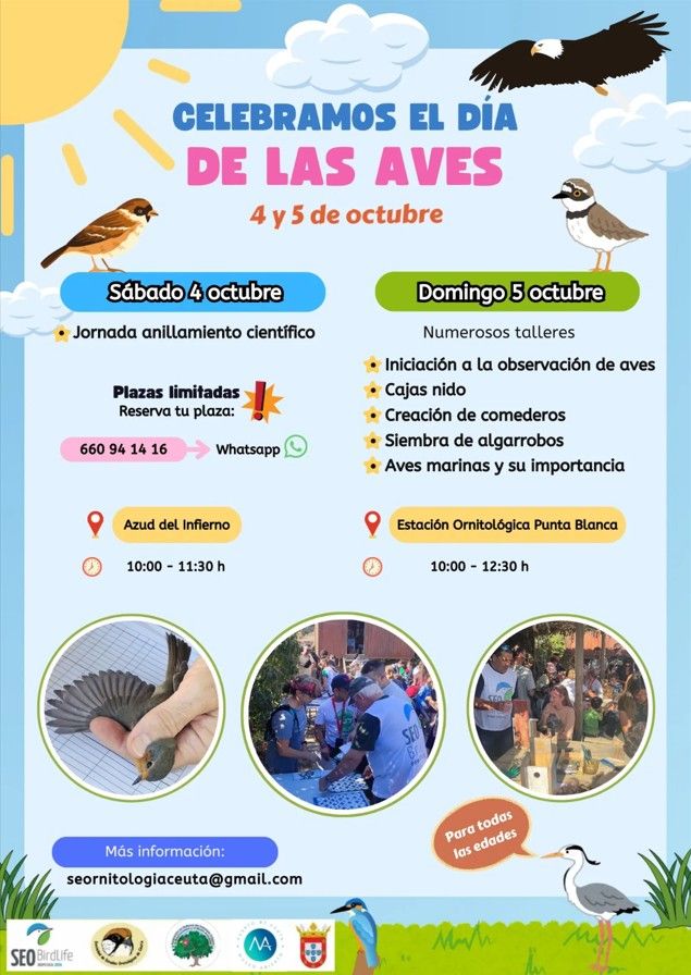 Numerosas actividades en toda España para celebrar el Día de las Aves este fin de semana