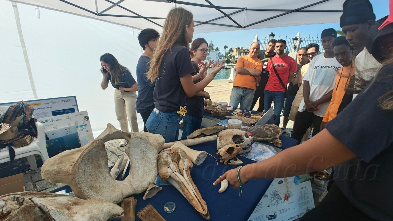 Dia Medio Ambiente 2025 02