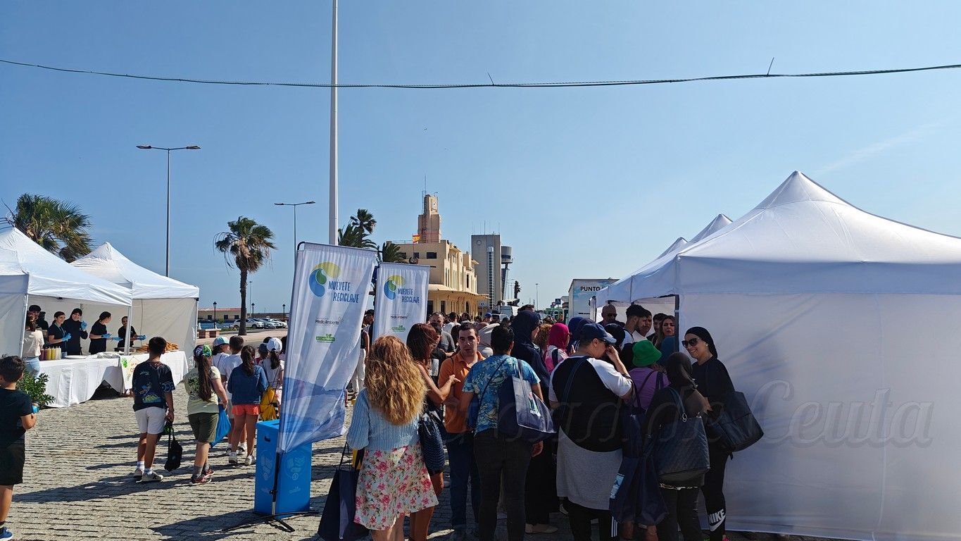 Dia Medio Ambiente 2025 05