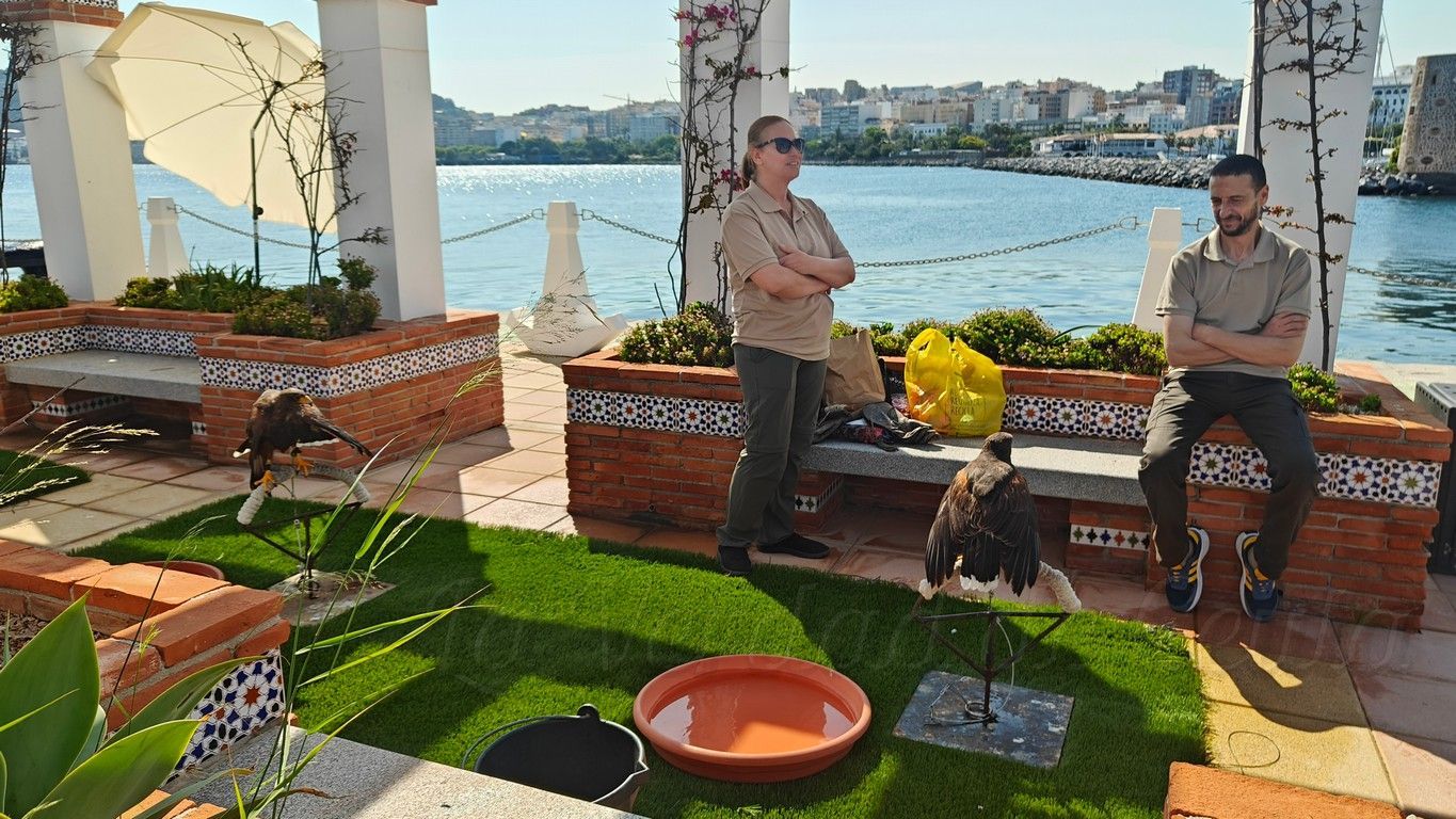 Dia Medio Ambiente 2025 09