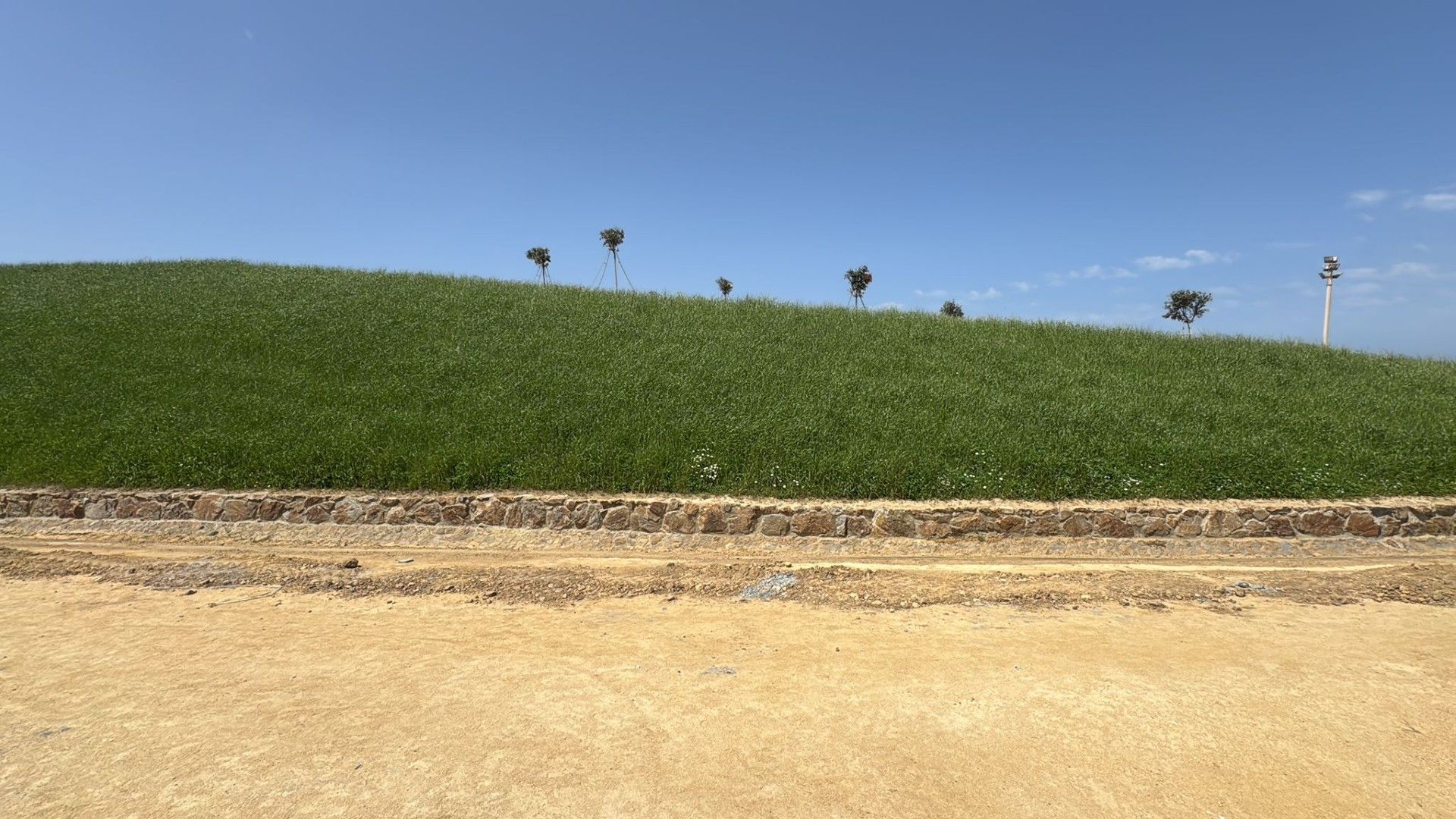 La Ciudad informa de que está ultimando la regeneración del Parque de Santa Catalina