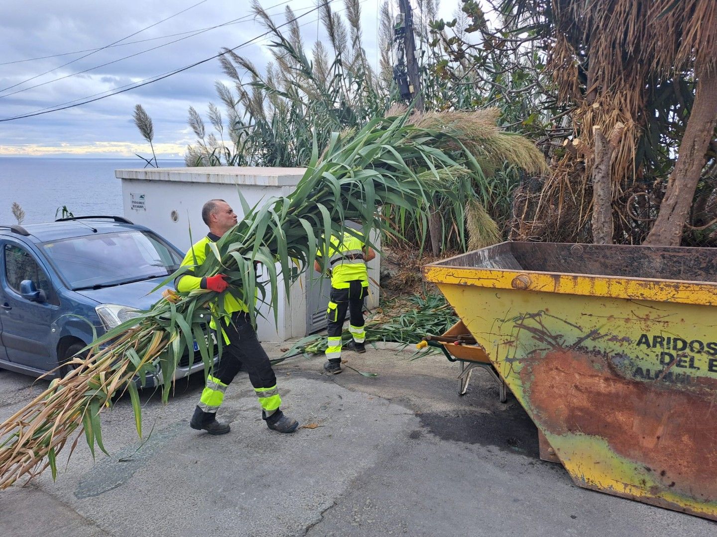 Siguen los trabajos de desbroce en la barriada del Sarchal