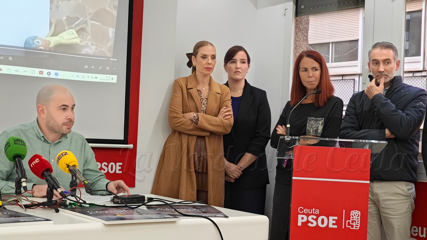El PSOE exige el cumplimiento íntegro de la Ley de Protección Animal y el reconocimiento oficial de las colonias felinas