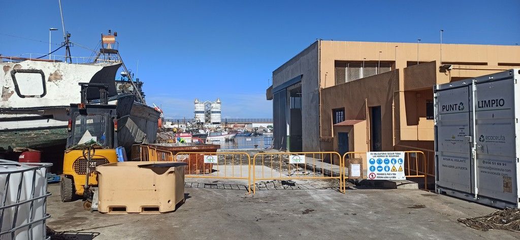 Obras lonja pesquera 2