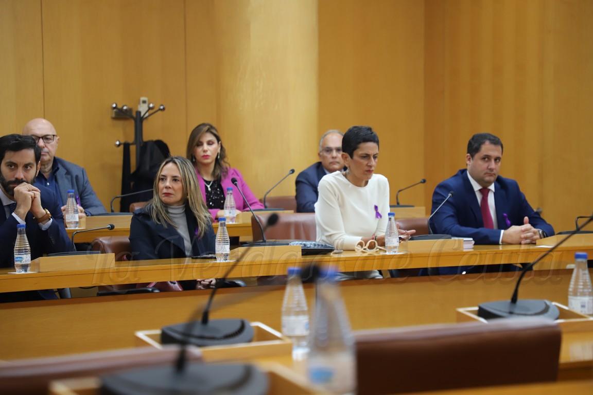 El Pleno de la Asamblea se reúne este viernes para celebrar la sesión ordinaria de control