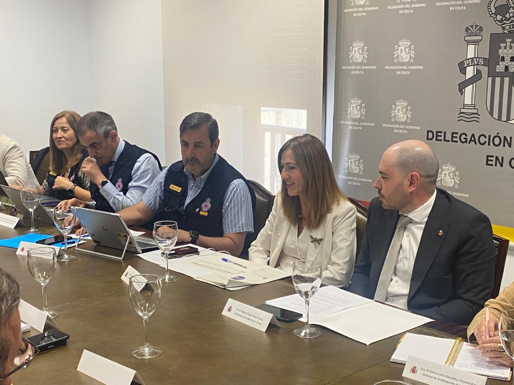 Virginia Barcones: hay medidas para evitar colapsos por el nuevo sistema de reconocimiento de personas en la frontera