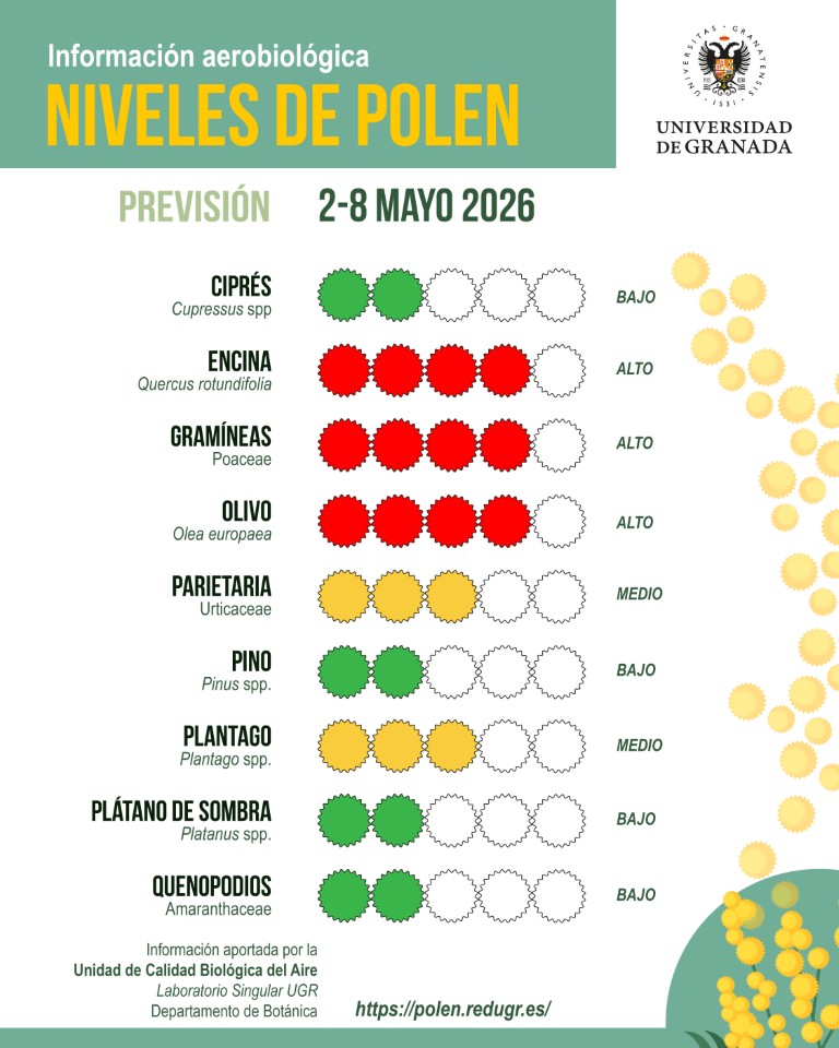 Los niveles de polen de olivos y gramíneas aumentan y se espera que alcancen concentraciones altas la próxima semana